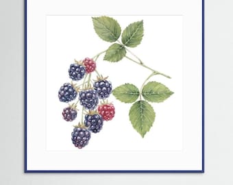 Gerahmter botanischer Kunstdruck – Brombeerzweig | Botanische Wandkunst | Aquarell-Brombeerdruck | Naturdeko