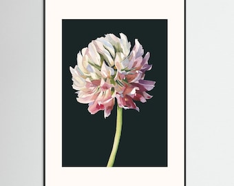 Gerahmter botanischer Kunstdruck – Klee (Trifolium hybridum) | Botanische Wandkunst | Aquarell-Blumendruck | Naturdekor