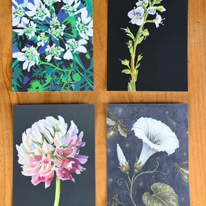 Set of four botanical art postcards featuring original flower illustrations on premium soft-touch cardstock.