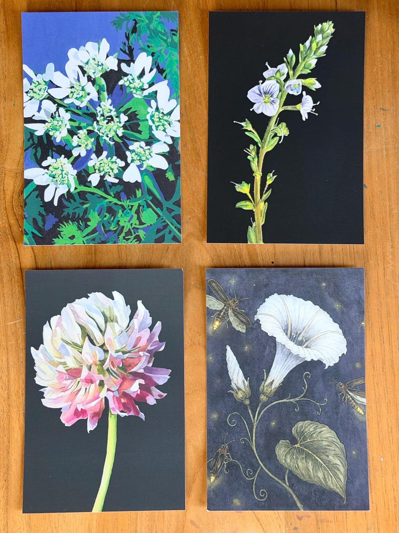 Set of four botanical art postcards featuring original flower illustrations on premium soft-touch cardstock.