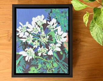 Framed Orlaya Grandiflora Canvas Print – Hand-Signed Botanical Artwork, One-of-a-Kind