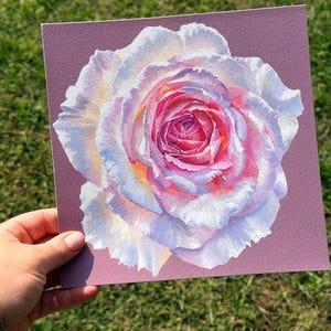 May include: A square art print featuring a detailed painting of a single rose. The flower has white petals with vibrant pink and soft orange hues concentrated in the centre. The rose is set against a solid, muted mauve-coloured background.