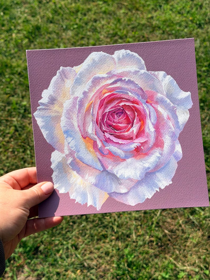 May include: A square art print featuring a detailed painting of a single rose. The flower has white petals with vibrant pink and soft orange hues concentrated in the centre. The rose is set against a solid, muted mauve-coloured background.
