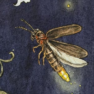 May include: A watercolor illustration of a firefly in flight against a dark navy blue background. The insect features brown wings, a segmented body, and a glowing yellow abdomen. A small portion of a white flower is visible in the corner.