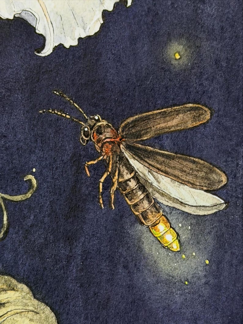 May include: A watercolor illustration of a firefly in flight against a dark navy blue background. The insect features brown wings, a segmented body, and a glowing yellow abdomen. A small portion of a white flower is visible in the corner.