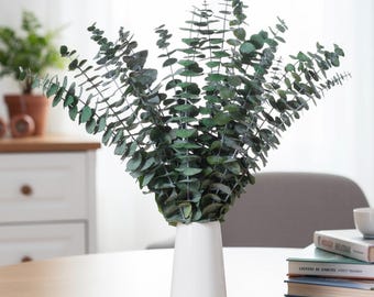 Dried Eucalyptus Stems 16Pcs Natural Preserved Leaves | Shower Hanging Eucalyptus Bundle | Wedding Greenery Home Spa Bathroom Decor