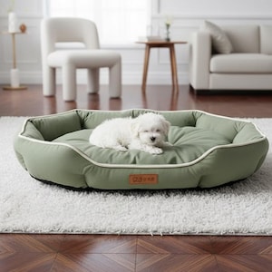 May include: An oval-shaped sage green pet bed with raised cushioned edges and white piping trim. A small white puppy is lying in the centre of the bed. A rectangular brown leather-like patch is attached to the front of the bed's outer wall.