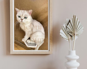 Fotografía de gatos blancos