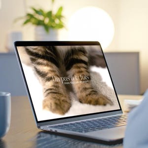 Op de afbeelding: Een laptop toont een close-up van kattenpoten met de tekst "Un pas à la fois, mais toujours en avant" in het wit. De laptop staat op een houten bureau, met een vage achtergrond.