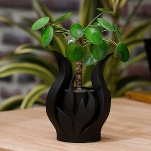 May include: A matte black planter with a sculptural, flame-like exterior design holding a Pilea peperomioides plant. The plant features a central brown stem with multiple round, flat, green leaves extending outward from the top of the stem.