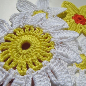 Crochet daisy flowers PATTERN. Easy crochet flowers set applique. Spring decor crochet 3d daisy flowers Instant download PDF pattern 22 image 3