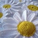 see more listings in the Flowers Patterns section