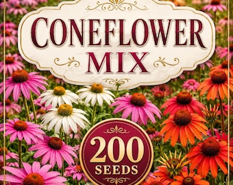Semi misti di echinacea, fiore selvatico perenne, giardino per impollinatori (200 semi)