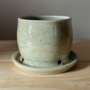 May include: A pale green ceramic planter with a glossy finish and a matching saucer. The pot features a textured surface with horizontal rows of small indentations and circular drainage holes near the base, finished with a beaded rim detail.