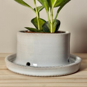 May include: A light gray ceramic planter with a smooth, cylindrical body and a wide, integrated saucer base. The base features a decorative beaded edge and small drainage holes around the perimeter. A green plant grows from the center.