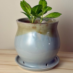 May include: A ceramic plant pot with a rounded body and a matching saucer. The pot features a two-tone glaze with a light blue lower section and a muted olive green upper rim. A small green plant with variegated leaves grows inside the container.