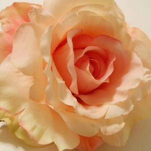 Puede incluir: Primer plano de una rosa completamente florecida, mostrando una mezcla de tonos melocotón, crema y rosa. Los pétalos son estratificados y texturizados, con un degradado de color desde el centro hacia afuera. Se destacan los intrincados detalles de la flor, mostrando su delicadeza. Un diseño floral clásico.