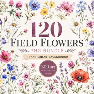 Pode incluir: Uma coleção digital de 120 flores do campo em um pacote PNG com fundo transparente. O conjunto apresenta ilustrações em estilo aquarela de várias flores silvestres em tons de vermelho, rosa, azul, amarelo e branco, com 300 DPI.