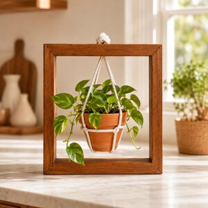 May include: A wooden plant frame, square in shape, holding a terracotta pot with a green and yellow pothos plant. The pot is suspended by a white macrame hanger. The frame is a warm brown colour. The background includes a window and other plants.