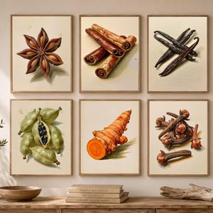 May include: A set of six framed wall art prints featuring botanical illustrations of spices. The prints depict star anise, cinnamon sticks, vanilla beans, green cardamom pods, a turmeric root, and whole cloves against a cream-colored background.