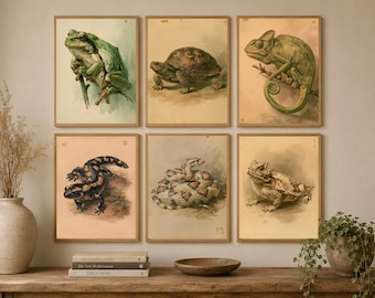 Reptilien-Kunstdruckset | 6 Vintage-Kunstdrucke mit naturkundlichen Eidechsen- und Amphibienmotiven (Digitaler Download)