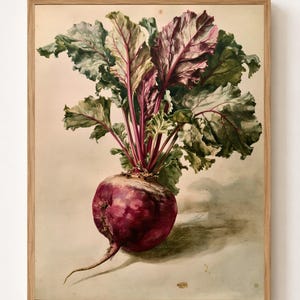 May include: A framed watercolor painting of a single beet with a deep purple bulb and vibrant green leaves featuring magenta veins. The artwork is encased in a light-toned wooden frame, showcasing a botanical illustration style on a neutral background.
