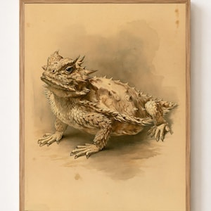 Op de afbeelding: Een ingelijste kunstdruk met een gedetailleerde aquarelillustratie van een padhagedis. De hagedis is afgebeeld in tinten bruin, beige en crème, met zichtbare stekelige schubben en een getextureerde huid tegen een gedempte, perkamentkleurige achtergrond.
