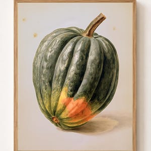 May include: A framed botanical illustration of a dark green acorn squash with deep vertical ridges and a prominent brown stem. The squash features a patch of orange discoloration near the base, set against a light cream background within a wood frame.