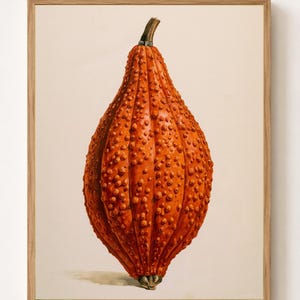 May include: A framed botanical illustration of a single, elongated, warty orange gourd. The gourd features a textured surface with numerous small bumps, vertical ridges, and a dark brown stem at the top, set against a plain, light cream background.