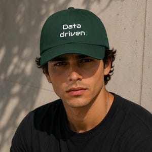 Data Driven Embroidered Dad Hat, Funny Programmer Cap, Tech Humor Baseball Hat, Software Developer Gift, Coder Hat
