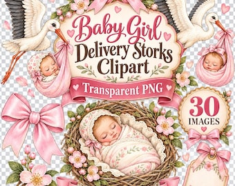 30 PNG Baby Girl Delivery Storks Clipart Bundle - baby shower, newborn arrival art, nursery decor, transparent PNG - Digital Download