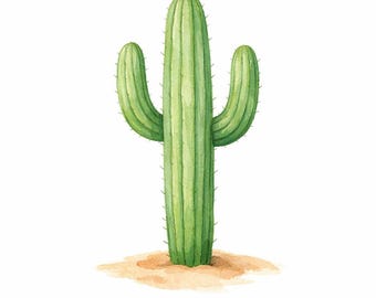 Bundel met 30 PNG-cliparts van woestijncactussen en dorre landschappen - cactusclipart, woestijndecoratie, western boho, aquarelbundel - Digitale download