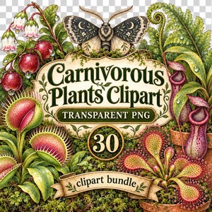 Puede incluir: Una ilustración digital con una polilla sobre un letrero decorativo con el texto Carnivorous Plants Clipart, Transparent PNG, 30, y clipart bundle. La escena incluye una venus atrapamoscas, plantas jarro, droseras y bayas.
