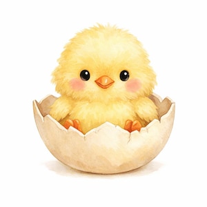May include: A fluffy yellow chick with large black eyes and soft pink cheeks sits inside a cracked, light beige eggshell. The illustration features a watercolour style with soft textures, highlighting the small orange beak and feet of the bird.