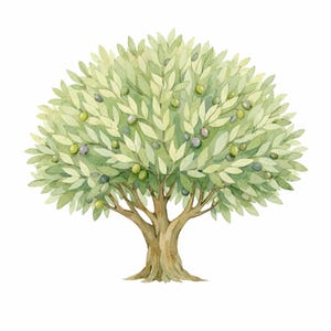 30 PNG Olive Tree Botanical Clipart Bundle - watercolor olives, Mediterranean botanicals, terracotta pots - Digital Download