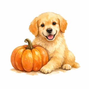 Może przedstawiać: Akwarelowa ilustracja szczeniaka golden retrievera o jasnozłotym futrze, ciemnych oczach i czarnym nosie, siedzącego obok okrągłej, jaskrawopomarańczowej dyni z zieloną łodygą. Szczeniak ma otwarty pysk, w którym widać różowy język.