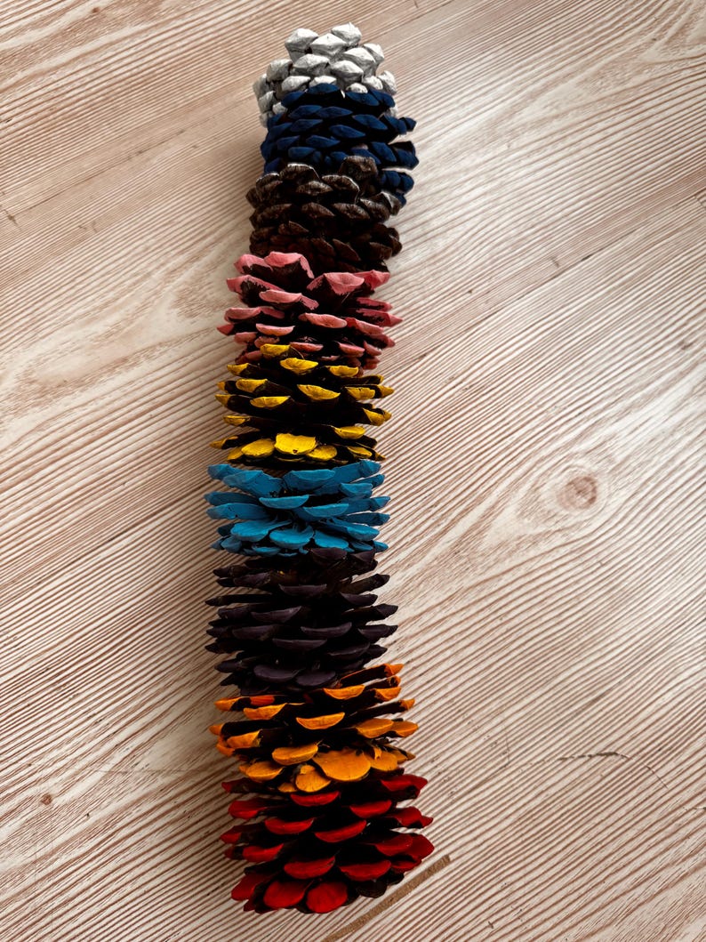 May include: A vertical garland composed of multiple pine cones, each painted in a distinct solid color. The sequence features silver, dark blue, brown, pink, yellow, light blue, dark purple, orange, and red pine cones strung together in a line.