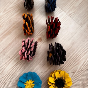 May include: Eight pine cones arranged in two columns. The top six are positioned vertically, displaying colors of dark brown, blue, orange, red, pink, and black. The bottom two are positioned horizontally, showing a blue cone with a yellow center and a yellow cone with a black center.