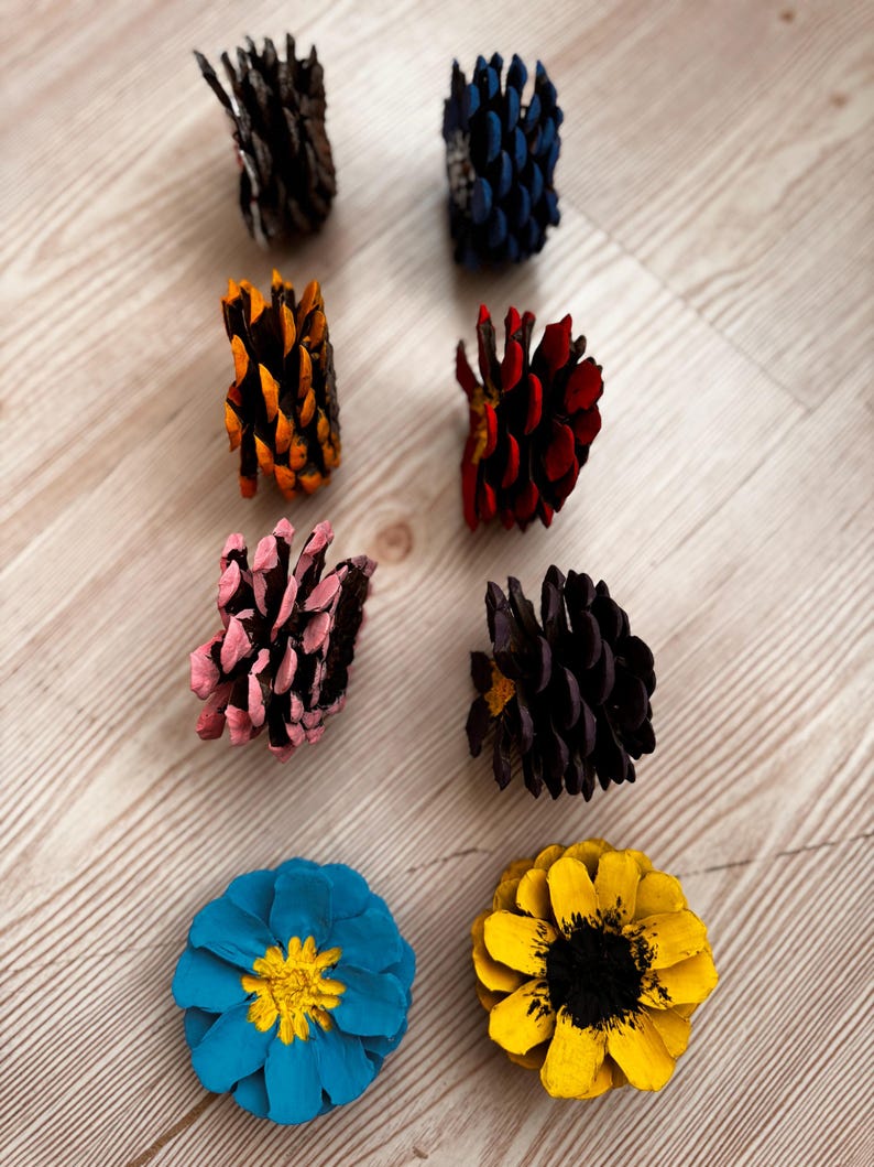 May include: Eight pine cones arranged in two columns. The top six are positioned vertically, displaying colors of dark brown, blue, orange, red, pink, and black. The bottom two are positioned horizontally, showing a blue cone with a yellow center and a yellow cone with a black center.