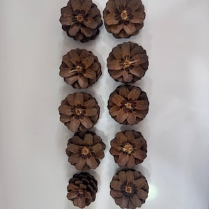 Piñas de pino naturales - Decoración rústica de bosque - Materiales para manualidades - Decoración para bodas y Navidad