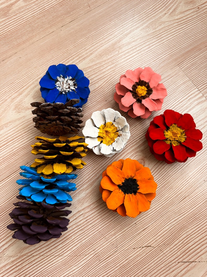 May include: A collection of pinecones painted to resemble flowers. The arrangement includes individual pinecones painted in solid blue, pink, red, orange, white, yellow, and purple, with some featuring contrasting centers in black, yellow, or white.