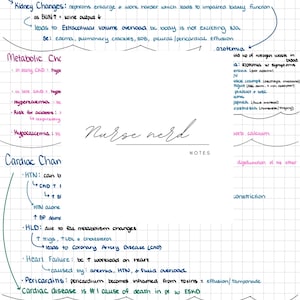 Pode incluir: Um mapa mental médico manuscrito em papel quadriculado, intitulado "Chronic Kidney Disease (CKD)". As notas cobrem alterações renais, metabólicas, cardíacas e GI. O texto "Nurse nerd" está escrito em itálico.