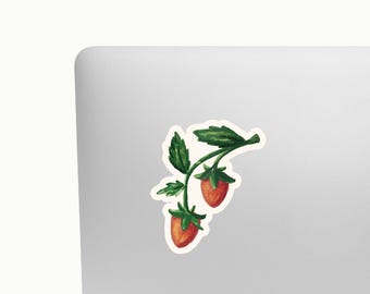 Pegatina ilustrada a mano con fresas en la rama