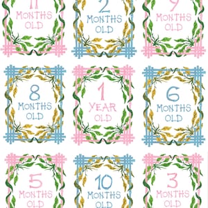 Koester elke stap: Willa Heart's Original Baby Monthly Milestone Cards in roze of blauwe babybamboerand Preppy Trendy Chic