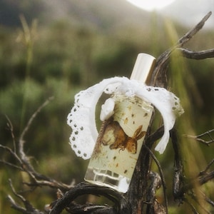 May include: A clear glass perfume bottle with a gold cap, featuring a brown rabbit illustration and small botanical details on the label. A white lace ribbon is tied around the neck of the bottle, which is resting on a dark, weathered tree branch.
