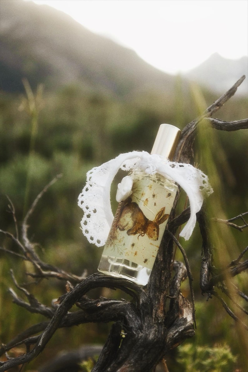 May include: A clear glass perfume bottle with a gold cap, featuring a brown rabbit illustration and small botanical details on the label. A white lace ribbon is tied around the neck of the bottle, which is resting on a dark, weathered tree branch.