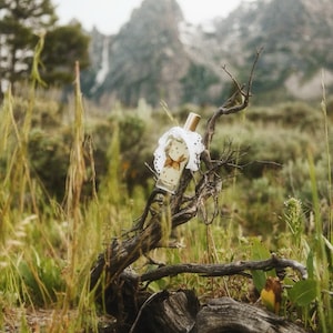 May include: A clear glass perfume bottle with a gold cap, featuring a brown rabbit illustration on the front and a white lace collar around the neck, resting on a weathered, dark brown tree branch in a natural outdoor setting.