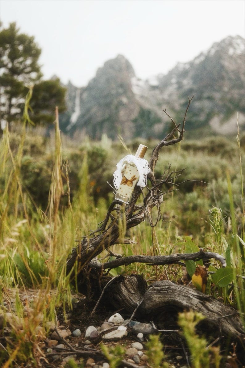 May include: A clear glass perfume bottle with a gold cap, featuring a brown rabbit illustration on the front and a white lace collar around the neck, resting on a weathered, dark brown tree branch in a natural outdoor setting.