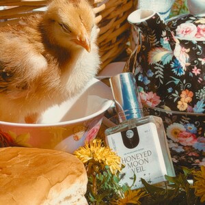 May include: A small, fluffy, light brown chick sits in a white bowl next to a glass perfume bottle labeled HONEYED MOON VEIL. Beside it is a black teapot with a colorful floral pattern, a round bread roll, and bright yellow dandelion flowers.
