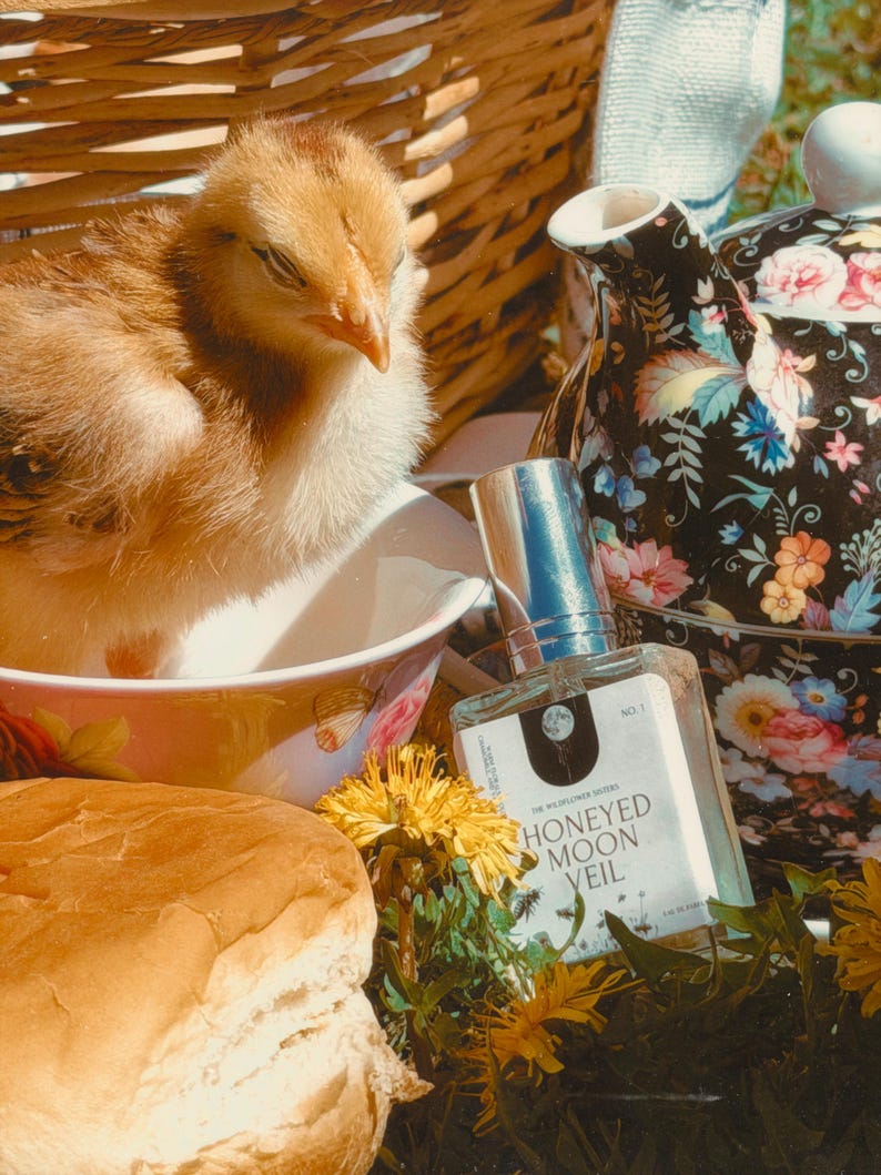 May include: A small, fluffy, light brown chick sits in a white bowl next to a glass perfume bottle labeled HONEYED MOON VEIL. Beside it is a black teapot with a colorful floral pattern, a round bread roll, and bright yellow dandelion flowers.